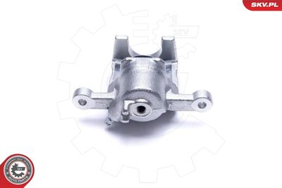 Brake Caliper 50SKV943