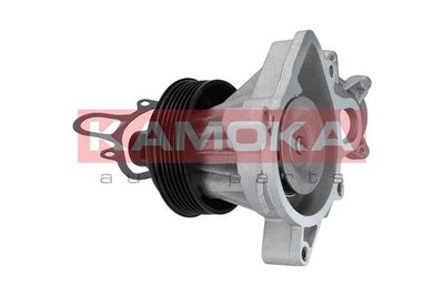 Water Pump, engine cooling T0060