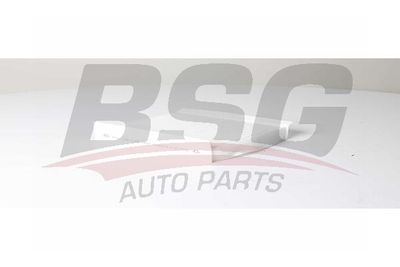 BSGBSG25-145-002 салонный фильтр для Peugeot