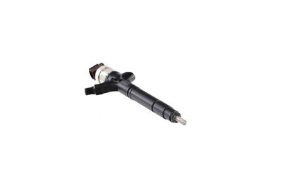 INJECTOR REMANTE 002003002039R 49