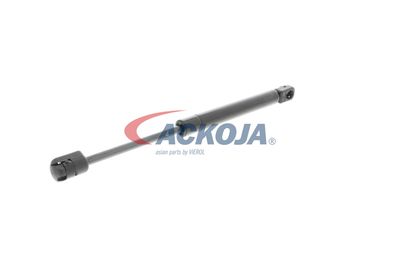 AMORTIZOR PORTBAGAJ ACKOJA A320134 31