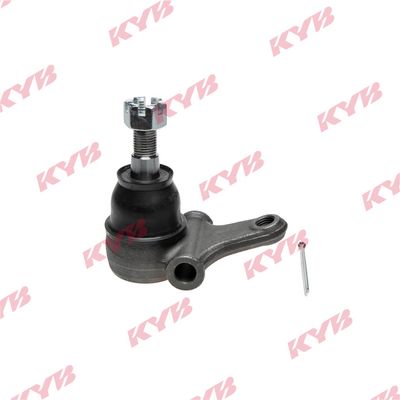 Šarnyras / girgždukas