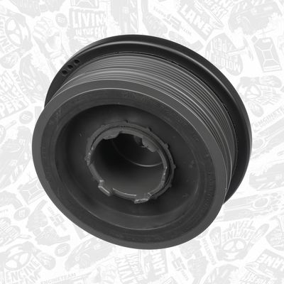 FULIE CUREA ARBORE COTIT ET ENGINETEAM PC0024 2