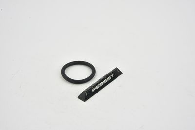 GARNITURA FLANSA LICHID RACIRE FEBEST TTTRAFII 45