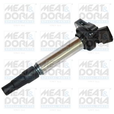 Ignition Coil 10616