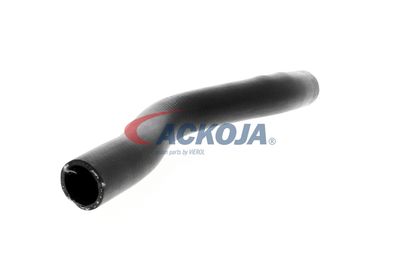FURTUN RADIATOR ACKOJA A261604 28