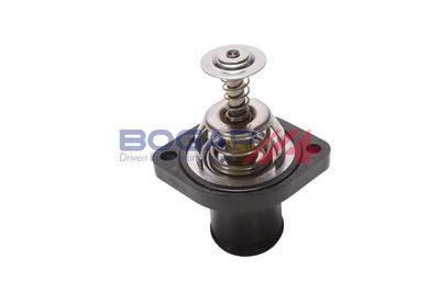 TERMOSTAT LICHID RACIRE BOGAP P4245105 2