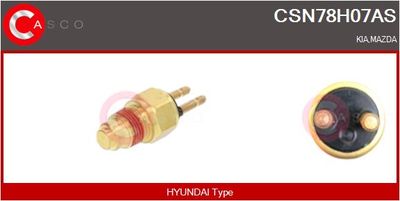 SENZOR TEMPERATURA LICHID DE RACIRE