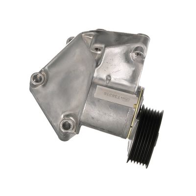 INTINZATOR CUREA CUREA DISTRIBUTIE GATES T38316 74