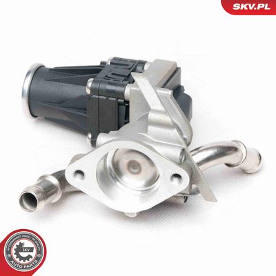 SUPAPA EGR ESEN SKV 14SKV101 4