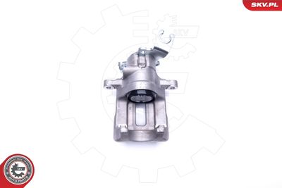 Brake Caliper 44SKV674