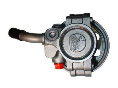 HYDRAULIKPUMPE LENKUNG SPIDAN 54061 1
