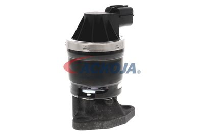 SUPAPA EGR ACKOJA A26630002 56