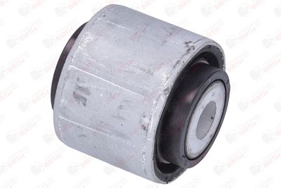 RULMENT DIFERENTIAL BIRTH 20002 11