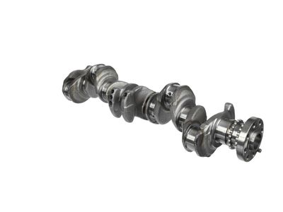 ARBORE COTIT ET ENGINETEAM HK0211 9