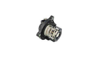 TERMOSTAT LICHID RACIRE NRF 725257 29