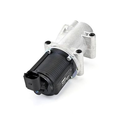 AGR-VENTIL DELPHI EG1030112B1 21