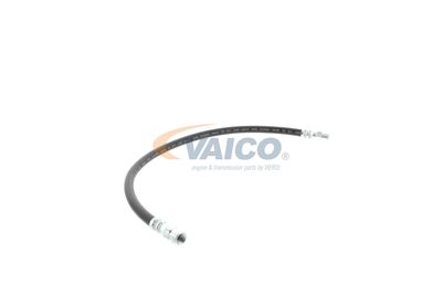 FURTUN FRANA VAICO V309926 52