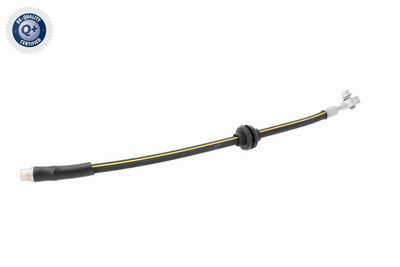 FURTUN FRANA VAICO V402216 1