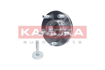 Wheel Bearing Kit 5500065