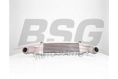 BSG BSG 60-535-017 Інтеркулер 