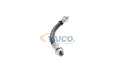 FURTUN FRANA VAICO V104136 48