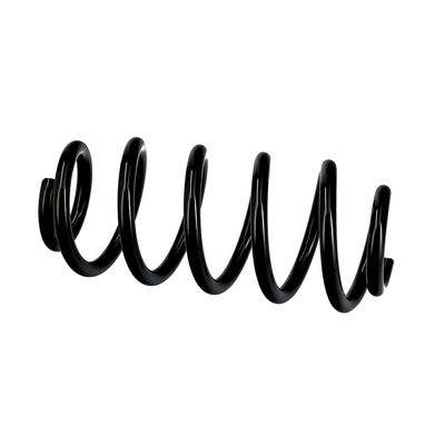 ARC SPIRAL EIBACH R10137 20