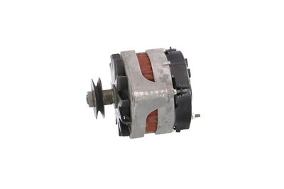 GENERATOR / ALTERNATOR REMANTE 011003000079R 15