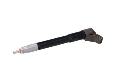 INJECTOR REMANTE 002003002077R 6
