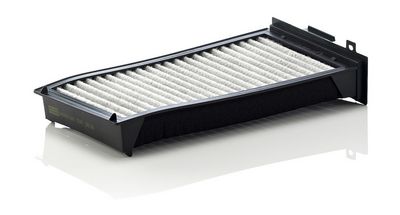 Filter, Innenraumluft