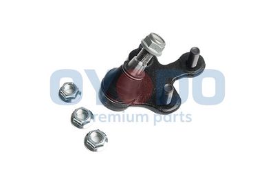 Šarnyras / girgždukas