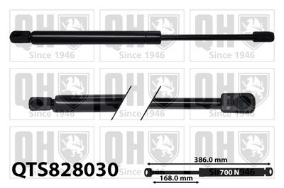 газов амортисьор, багажно/товарно пространство QUINTON HAZELL QTS828030
