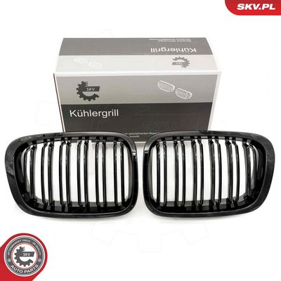 GRILA RADIATOR ESEN SKV 66SKV066 9