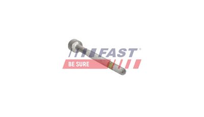 SURUB SUPORT INJECTOR FAST FT12960 3
