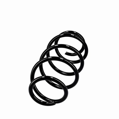 ARC SPIRAL EIBACH R10288 2