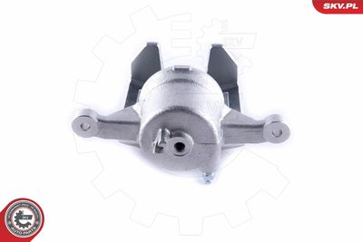 Brake Caliper 55SKV271