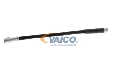 FURTUN FRANA VAICO V250900 57