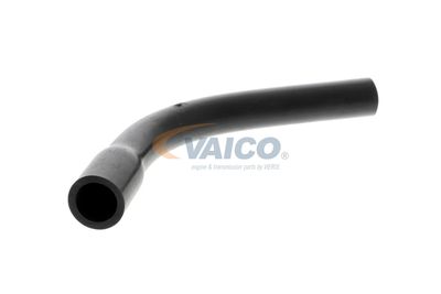 FURTUN AERISIRE CHIULASA VAICO V401175 53