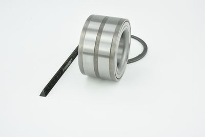 SET RULMENT ROATA FEBEST DAC50890051KIT 17