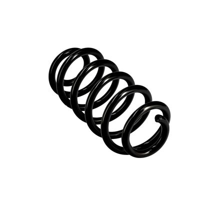 ARC SPIRAL EIBACH R10137 11