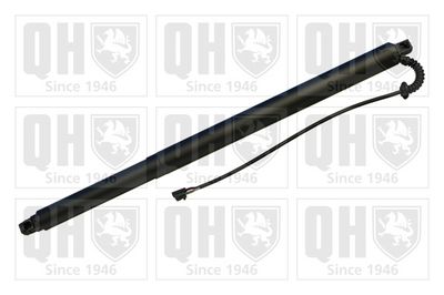 MOTOR ELECTRIC HAION