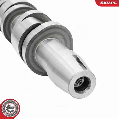 AX CU CAME ESEN SKV 80SKV042 3