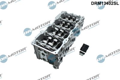 Dr.Motor Automotive Cilindro galvutė