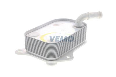 RADIATOR ULEI ULEI MOTOR VEMO V15606071 29