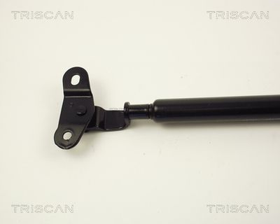 AMORTIZOR PORTBAGAJ KAWE 871013201 1