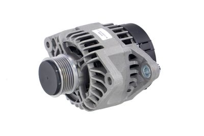 GENERATOR / ALTERNATOR REMANTE 011003000017R 65