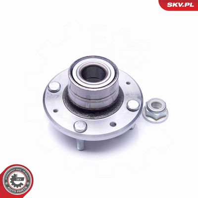 SET RULMENT ROATA ESEN SKV 29SKV210 1