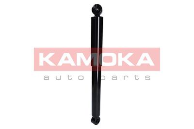 Shock Absorber 2000953