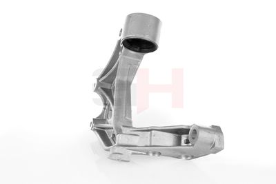 SUPORT BUCSA BRAT GH GH294369H 52