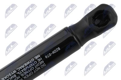 AMORTIZOR CAPOTA NTY AECH076 2